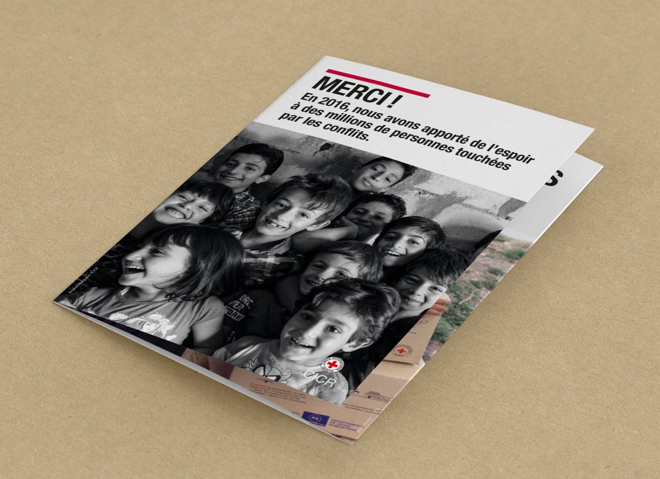 Fabien_cuffel_Bilan_CICR_leaflet_2017