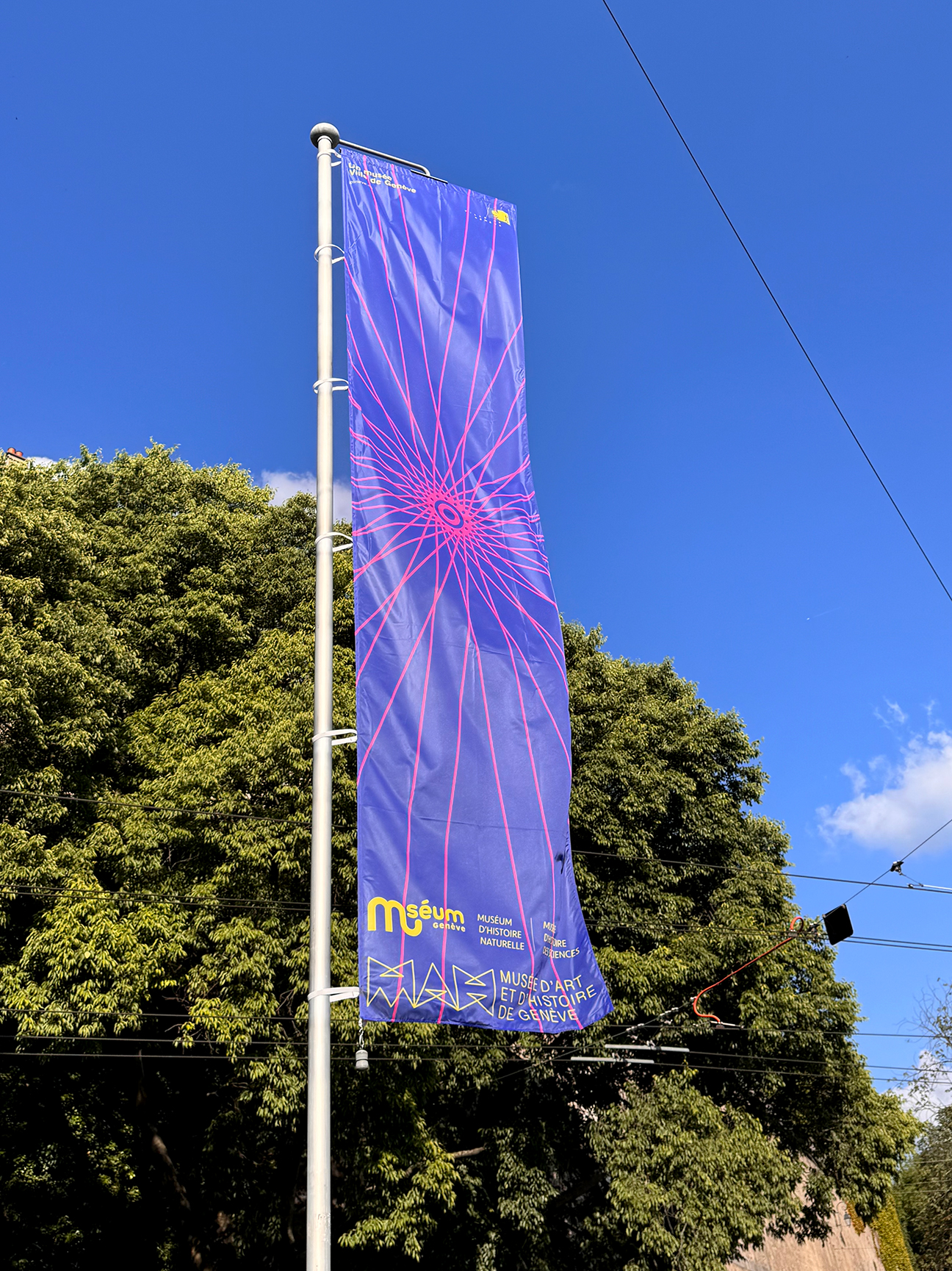 Fabien-cuffel-typographiste-graphiste-geveve-Expo-velo-mouvement-equilibre_MAH_Museum-histoire-naturelle-Geneve_Musee-Oriflamme